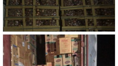 E58806C0 25AF 4074 925D 57FFFA12C5FC