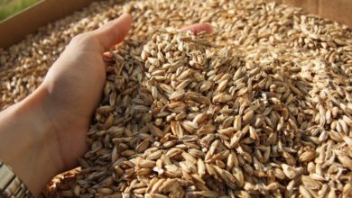 EB63A817 AF51 4F32 BFB2 1A6B2570AFA0