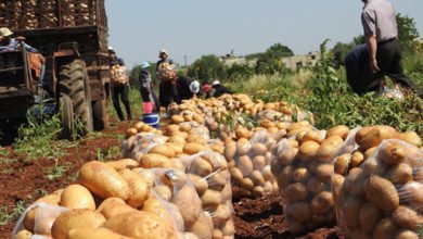 F3A9C39B 9480 4124 AAF9 7F2431478953