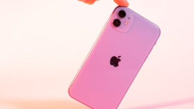 FA231754 2617 4FE6 B2CD CE4220EA86EA