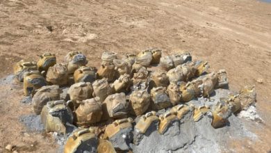 FB IMG 1599834005438