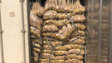 FB IMG 1600523197381