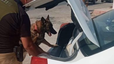 FB IMG 1601239749510