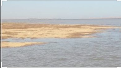 Screenshot ٢٠٢٠٠٩١٣ ١١٢١٣٦