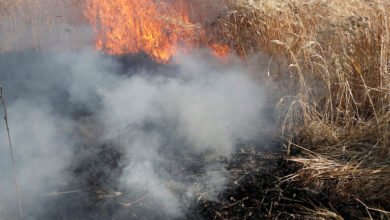 07CA59D0 72E8 4F05 93F8 DEDA5C0E8C52