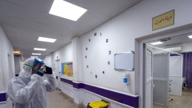 0B81E5A8 C1DB 4987 AABE 86021525EE00