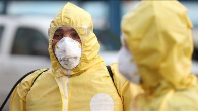 0E688865 5131 4125 8FB9 A7584E4E32F7