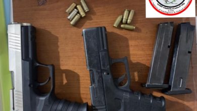 1024102020 0301d5f6 d75f 4ee8 8a90 11caf0eb5190