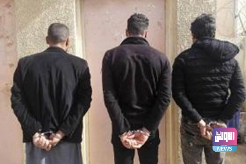 1129102020 1201824184631607683411