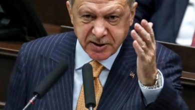 155 164850 german politician erdogan is pouring terrorism 700x400