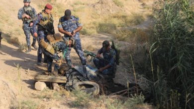 1729102020 8b79275e ff1a 4d21 958a da6a1a3eed0b