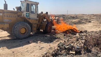 194EAC45 E850 481E B838 CC484A5A36CF