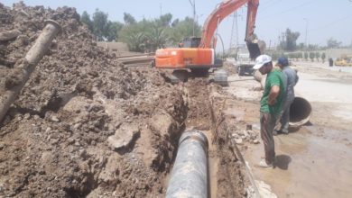 1D3D9CDE A438 4081 8435 1FCB0E87D7DE