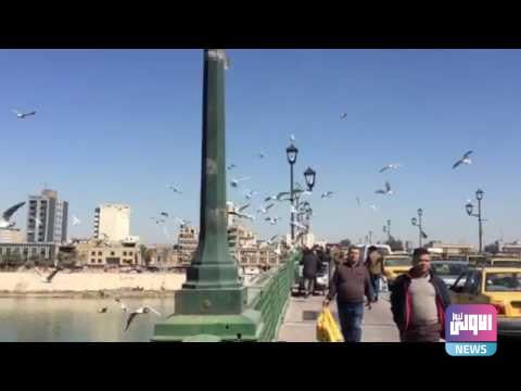 إعادة فتح شارع الرشيد وجسري الشهداء والاحرار أمام حركة السير 1 22FC968B AE50 42D5 B296 A4F8E32B13F4