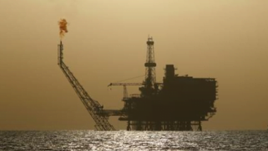 2C756D88 690B 4C5F 9556 B06CF4573A68