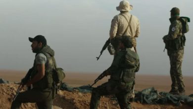 2F005199 C440 4239 A24A FD4C901FE7DC