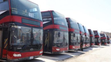 وزير النقل يعلن نجاح خطة نقل الزائرين 3 34B0590A 4D22 4E0D 89AA 59342DB6CE95