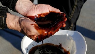 46FAA5AD 3797 46A5 BC58 E86093F525FC