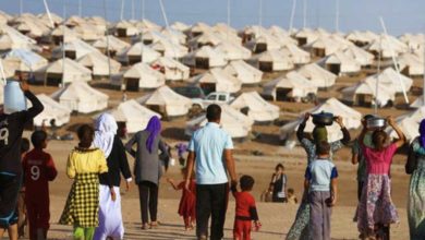 47C48902 BC4E 4062 87ED DFF9685824A8