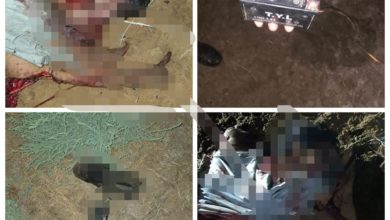 520102020 ECBA1B01 8ED2 4B02 9C40 EF68460790C2