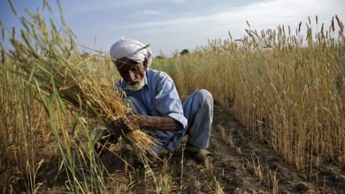 53B4FC1D 29E7 47D9 B4F4 204F61C64B24