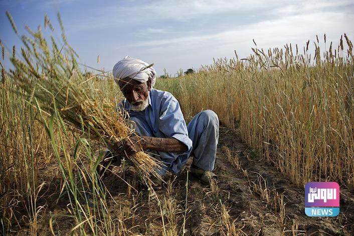 53B4FC1D 29E7 47D9 B4F4 204F61C64B24