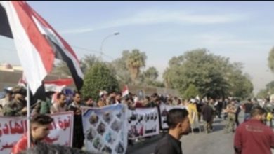 55776804 86D7 4BFA 8F04 ABDB8ECA8D9F