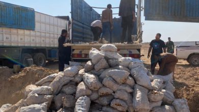 5A074A0E F480 4F08 8F0D E8601A431D27