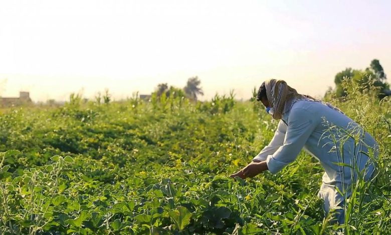 5A4237BE 263E 4980 9F97 AE650AB0BF4E