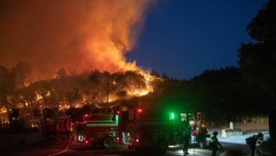 5D97E823 C8A0 4459 A5C1 72CA04D88FA3