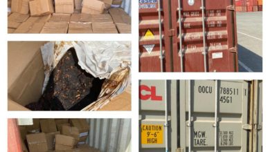 احباط محاولة تهريب 4 حاويات محملة بمادة المعسل الممنوع من الاستيراد في بوابة البصرة 2 5F1EC7E9 D101 4DF2 9C91 45FA2EB817EC