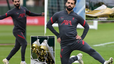 5f8e87ed4236041a084b9edc