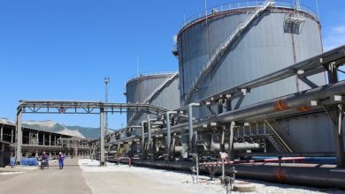 5f9293274236047d331faca8