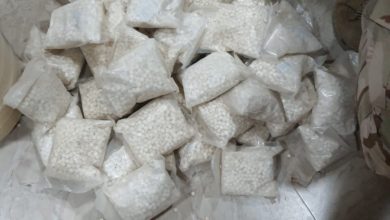 615102020 41cccc04 8bce 44a6 ae73 2415c955e7da