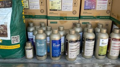 69658431 6EFA 4CF4 9AB8 E2848A8618DB