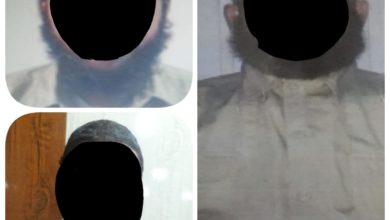 69DF5535 B6C4 4AD9 AB06 256496AE6182