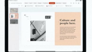 701024D0 009F 4198 B74C 0919FE378286