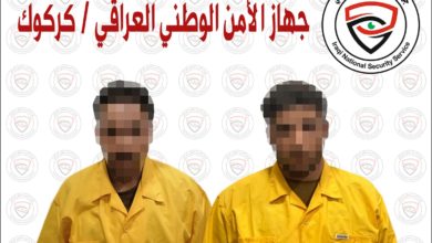 731102020 94bdeb63 527c 49e8 8486 b686c6f27c13