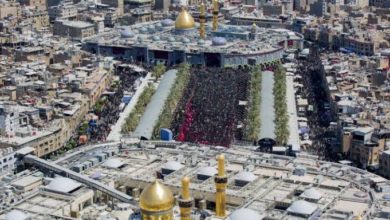 75CE8114 6471 4379 909B 8B7384134D3B