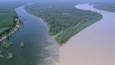 77E59B40 D955 4351 B448 FD93C09440D6