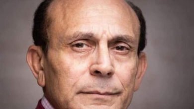 78 134602 muhammad sobhi art 6