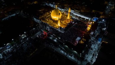 7D95A0C7 8A5F 44F9 81EA 2CDFCBBE3A52