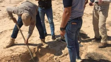 82038F7F 375A 4300 B1CB 323ED1E438BB