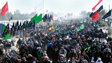 828B942B DDBC 4003 8BCD CCEDFC6BB79E