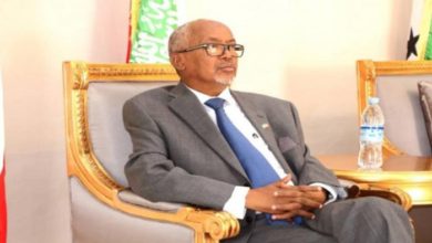 نائب رئيس أرض الصومال عن الإمارات : بلد الخير والتسامح 6 85 221054 uae vice president somaliland visit emirates love 700x400