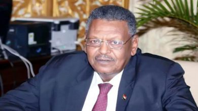 85 223948 sudan pursuing 3 brotherhood leaders life sentence 700x400