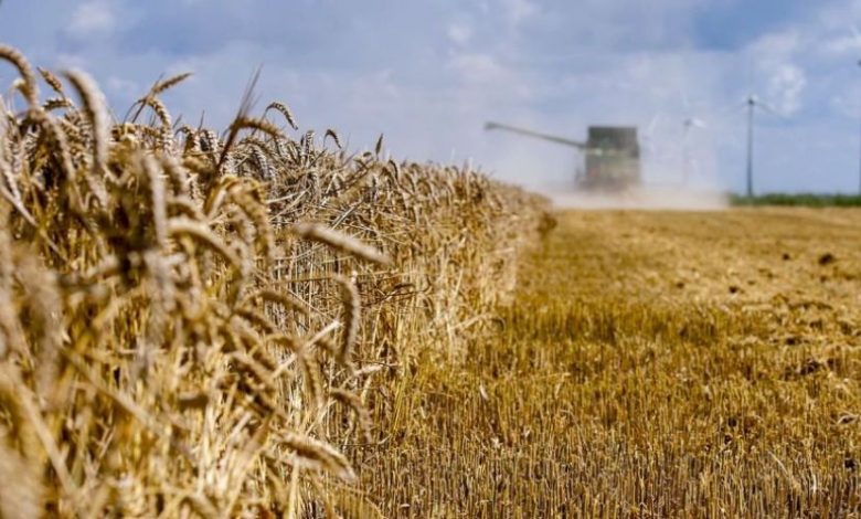 الزراعة تعلن صرف مستحقات الفلاحين المسوقين لمحصول بذور الحنطة 1 85B0D08A 3D44 4930 9749 2D7A60C60DCA