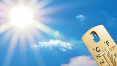 86B2CF88 E81A 4445 9858 8F45CADDDC66