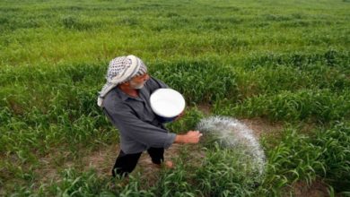 8BC3AB71 7D67 4565 A819 C6C612022AB6