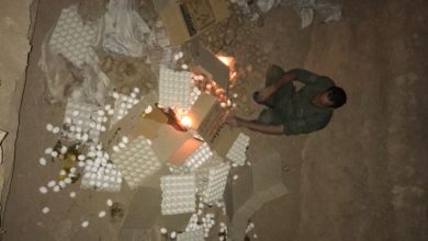 اتلاف بيض المائدة دعماً للمنتح المحلي في منفذ الشيب 5 8D325DD5 6102 43C9 9E06 78EB6CE3CA10